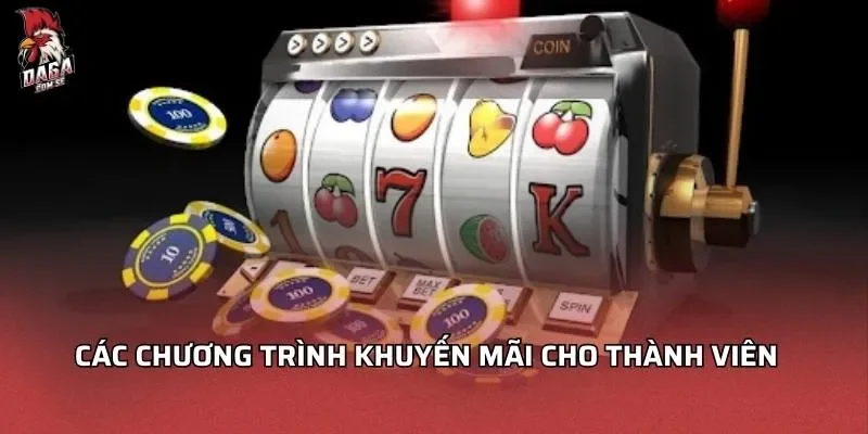 Sảnh PG Sở Hữu 100+ Trò Chơi Đồ Họa Ấn Tượng Nhất 3 Các chương trình khuyến mãi cho thành viên