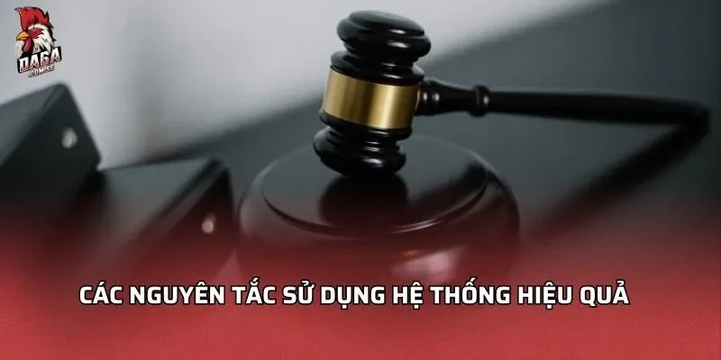 Các nguyên tắc sử dụng hệ thống hiệu quả