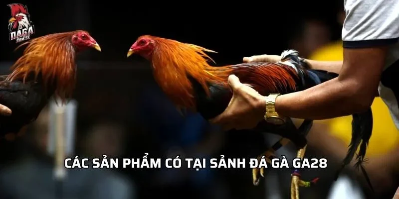 Sảnh Đá Gà GA28 - Top Những Lý Do Bạn Nên Thử Ngay 2 Các sản phẩm có tại sảnh đá gà GA28