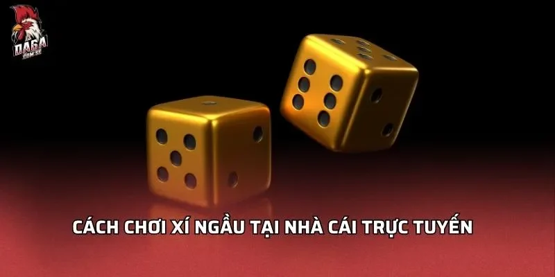 Cách Chơi Xí Ngầu - Hướng Dẫn Chi Tiết Mẹo Chơi Hiệu Quả 2 Cách chơi xí ngầu tại nhà cái trực tuyến