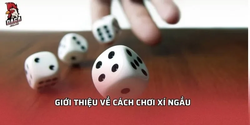 Cách Chơi Xí Ngầu - Hướng Dẫn Chi Tiết Mẹo Chơi Hiệu Quả 1 Giới thiệu về cách chơi xí ngầu