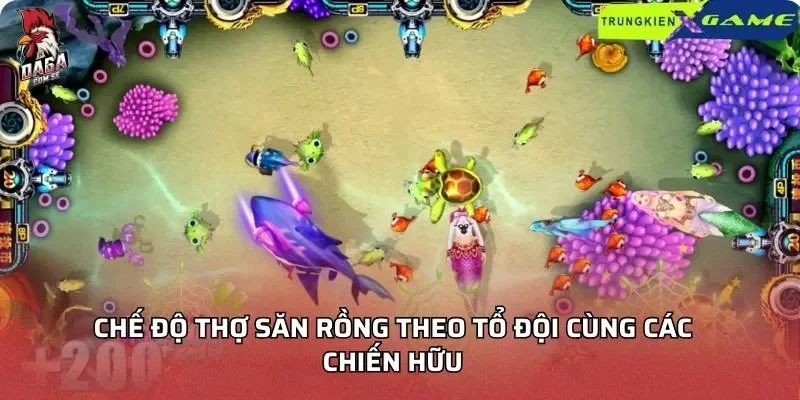 Thợ Săn Rồng – Truy Tìm Rồng Cổ Xưng Bá Chiến Trường 3 Chế độ thợ săn rồng theo tổ đội cùng các chiến hữu